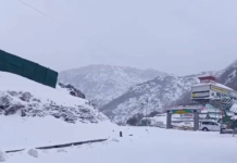 Avalanche Alert for High-Altitude Areas in Sikkim: Routes to Tsomgo Lake and Natula Closed