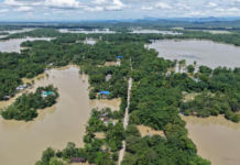 Assam Flood Death Toll Climbs to 95: Relief Operations Continue Across 14 Districts