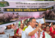 “Protect Kaziranga, Not Commercial Interests”: Assam Congress Protest ESZ Proposal