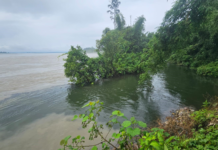 Siang River Erosion Washes Away Farmland in Arunachal’s Mebo