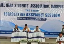 ANSAM Calls for August 14 Naga Flag Hoisting: Urges Independence Day Boycott
