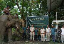 Vantara Foundation Proposes to Build Three Wildlife Rescue Centres in Assam