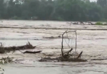 Fresh Erosion Threat Puts Sivasagar’s Disang Embankment Under Pressure