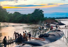 Assam Floods: Affected Population Drops to 51,800, Death Toll Remains at 104