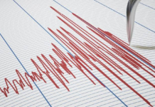 4.8-Magnitude Earthquake Jolts Assam: Tremors Felt Across Several Areas