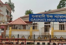 Gauhati High Court Puts Possession of 211-Bigha Golaghat Land on Hold